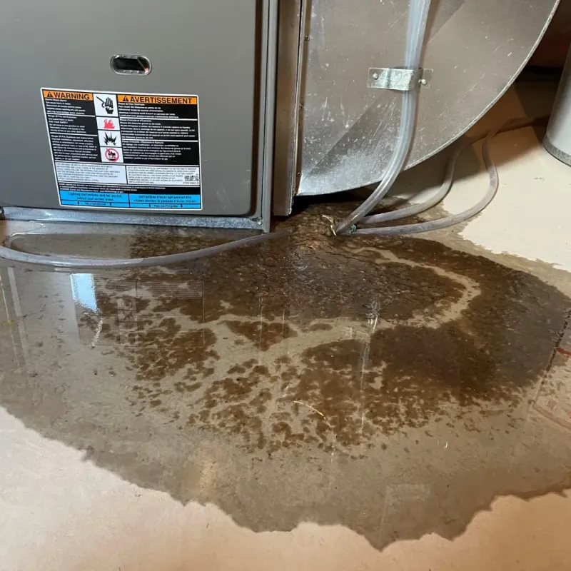 Appliance Leak Cleanup in Sherrills Ford, NC